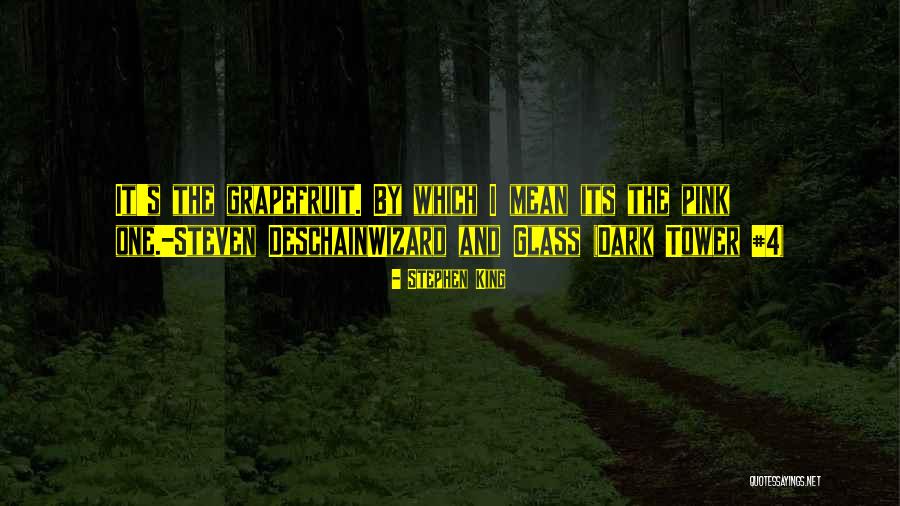 Dark Tower Wizard And Glass Quotes By Stephen King Dark Tower Wizard And Glass Quotes By Stephen King
