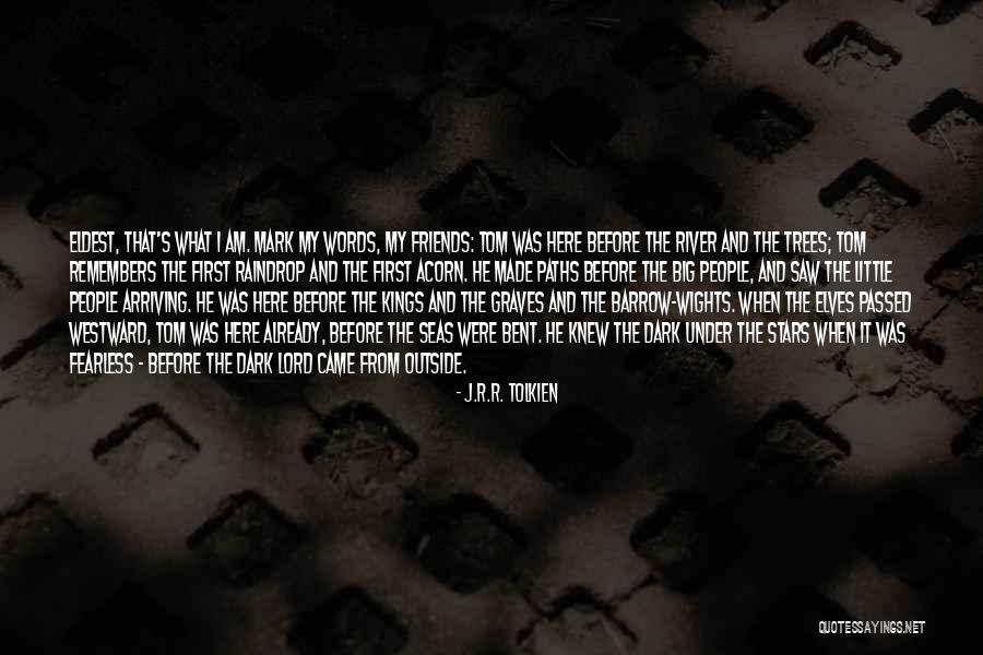 Dark Trees Quotes By J.R.R. Tolkien Dark Trees Quotes By J.R.R. Tolkien