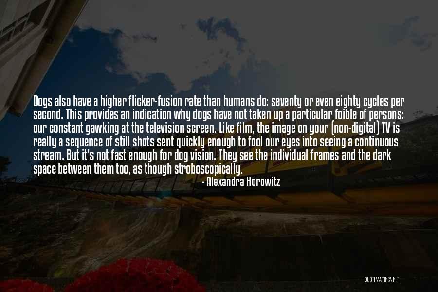 Dark Vision Quotes By Alexandra Horowitz Dark Vision Quotes By Alexandra Horowitz