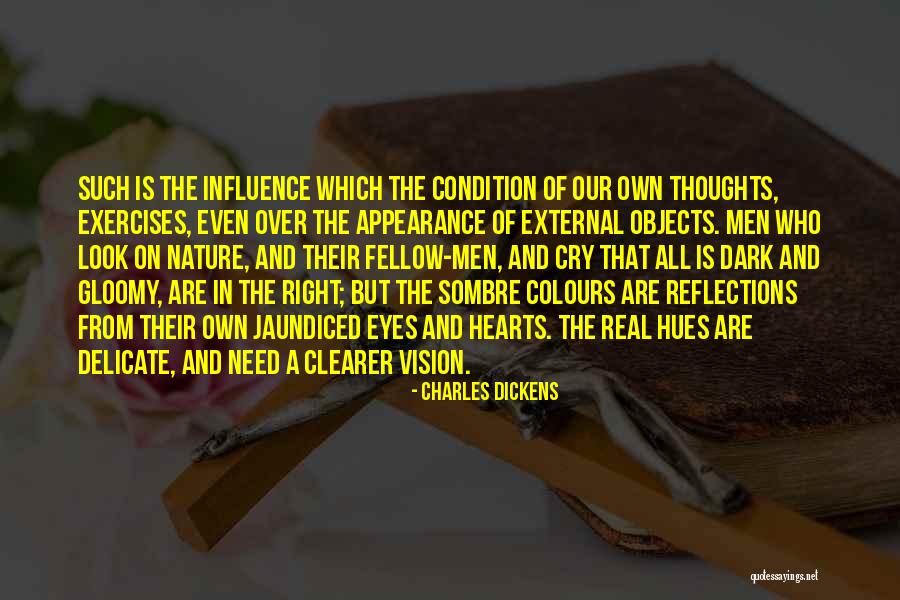 Dark Vision Quotes By Charles Dickens