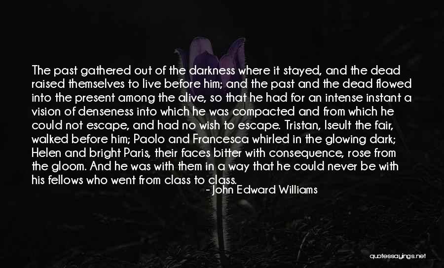 Dark Vision Quotes By John Edward Williams