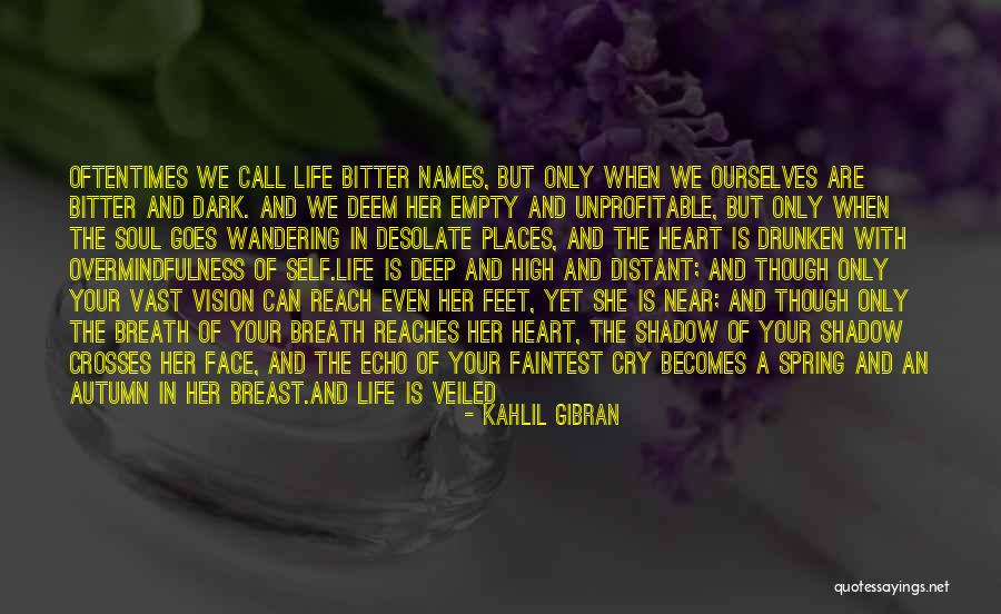 Dark Vision Quotes By Kahlil Gibran