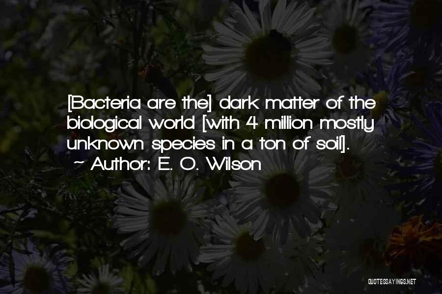 Dark World Quotes By E. O. Wilson