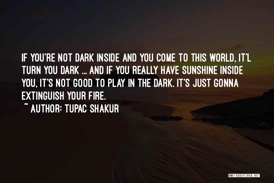 Dark World Quotes By Tupac Shakur