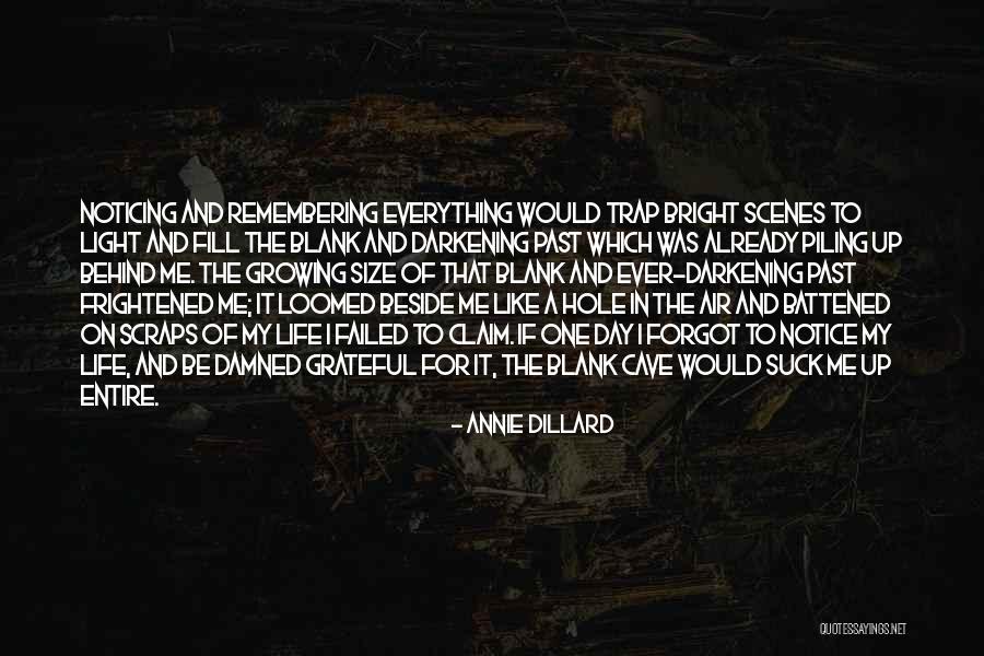 Darkening Quotes By Annie Dillard