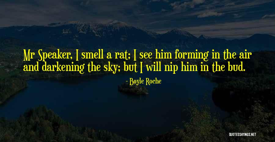 Darkening Quotes By Boyle Roche