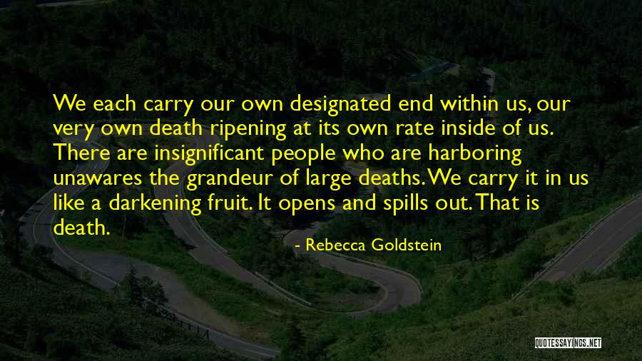 Darkening Quotes By Rebecca Goldstein