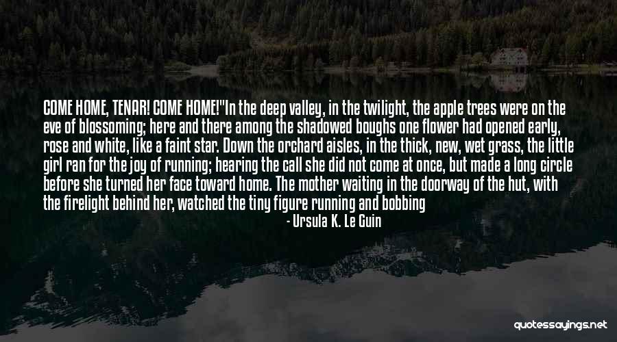 Darkening Quotes By Ursula K. Le Guin