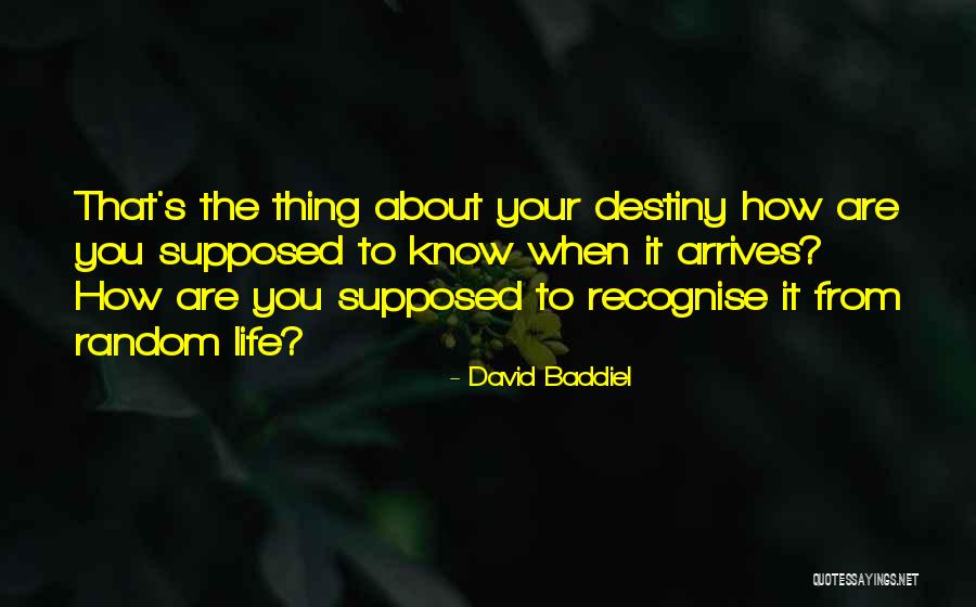 Darkest Dungeon Tavern Quotes By David Baddiel Darkest Dungeon Tavern Quotes By David Baddiel