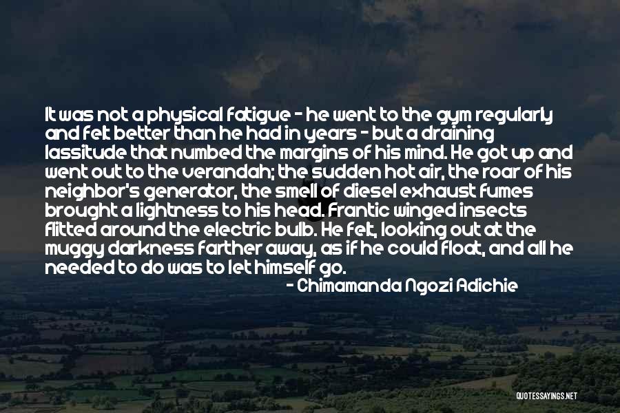 Darkness All Around Quotes By Chimamanda Ngozi Adichie