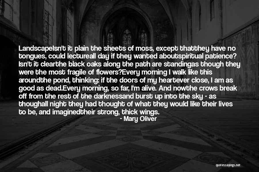Darkness All Around Quotes By Mary Oliver Darkness All Around Quotes By Mary Oliver