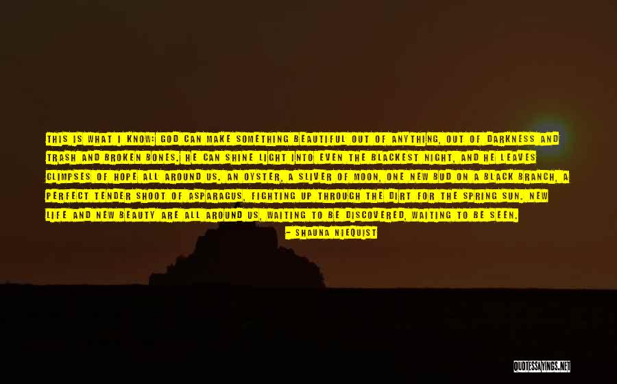 Darkness All Around Quotes By Shauna Niequist Darkness All Around Quotes By Shauna Niequist