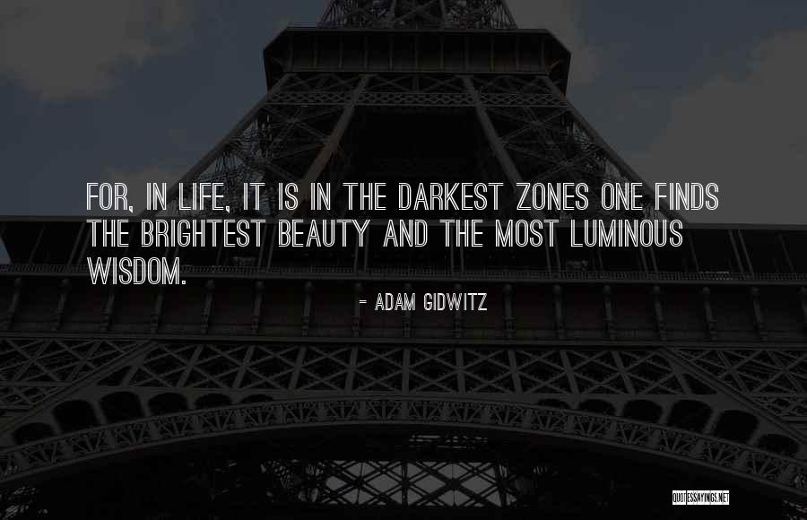 Darkness And Beauty Quotes By Adam Gidwitz