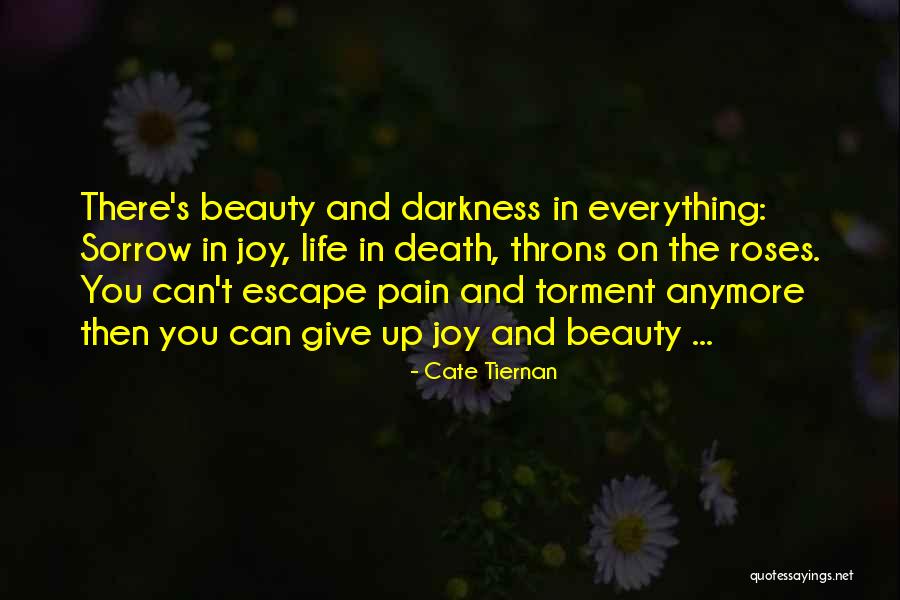 Darkness And Beauty Quotes By Cate Tiernan