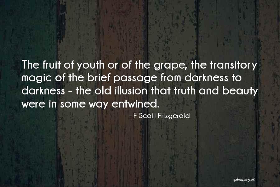 Darkness And Beauty Quotes By F Scott Fitzgerald