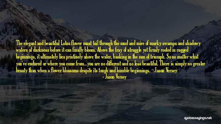 Darkness And Beauty Quotes By Jason Versey