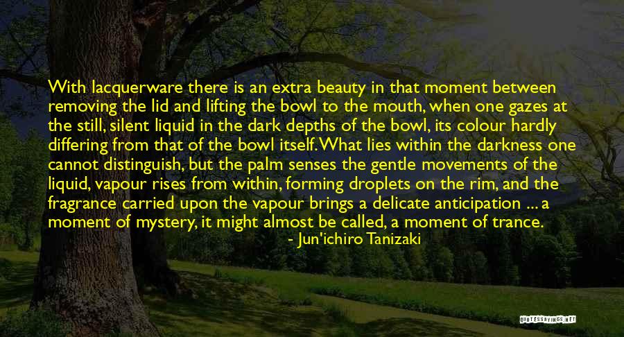 Darkness And Beauty Quotes By Jun'ichiro Tanizaki