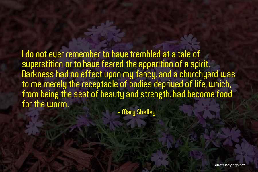 Darkness And Beauty Quotes By Mary Shelley