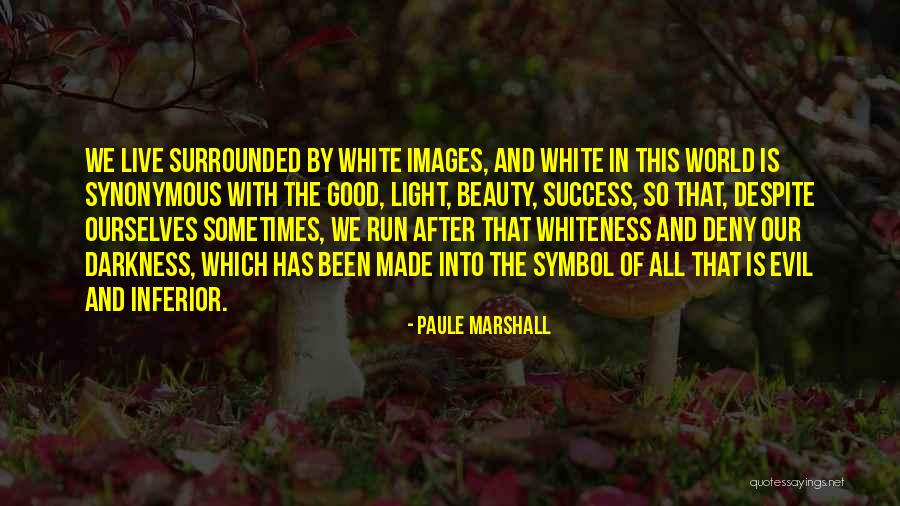 Darkness And Beauty Quotes By Paule Marshall