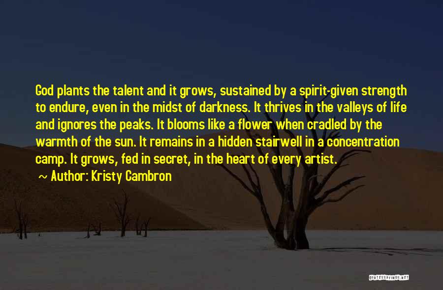 Darkness And God Quotes By Kristy Cambron
