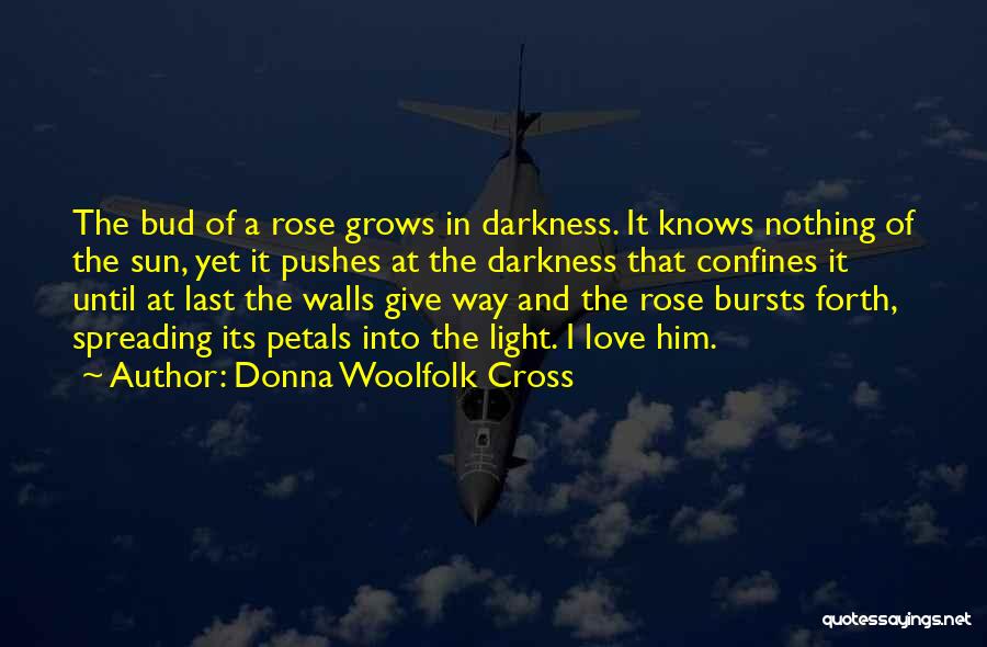 Darkness And Light Love Quotes By Donna Woolfolk Cross