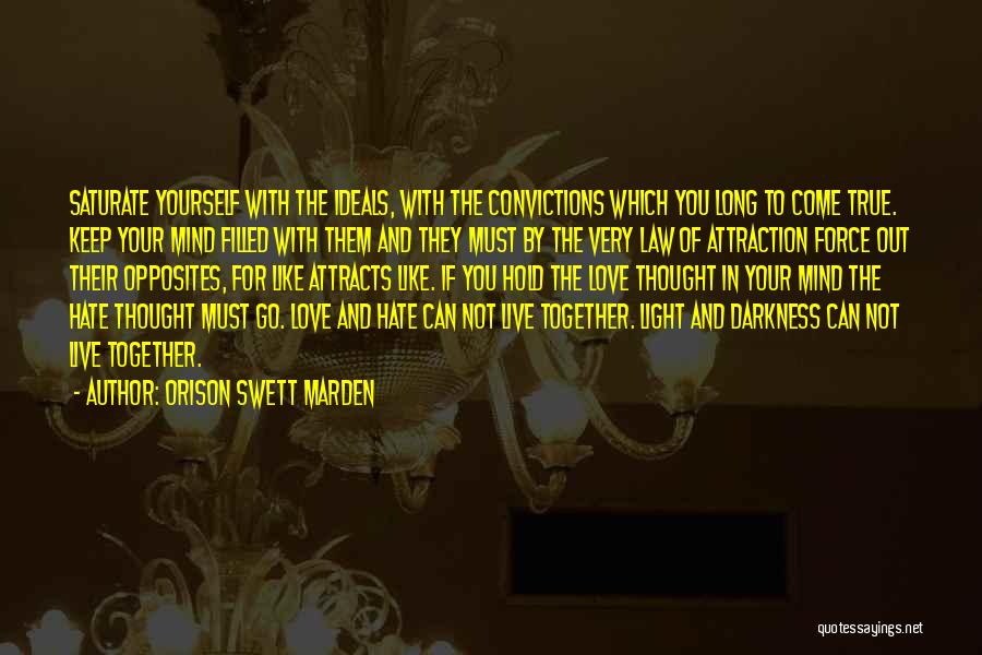 Darkness And Light Love Quotes By Orison Swett Marden