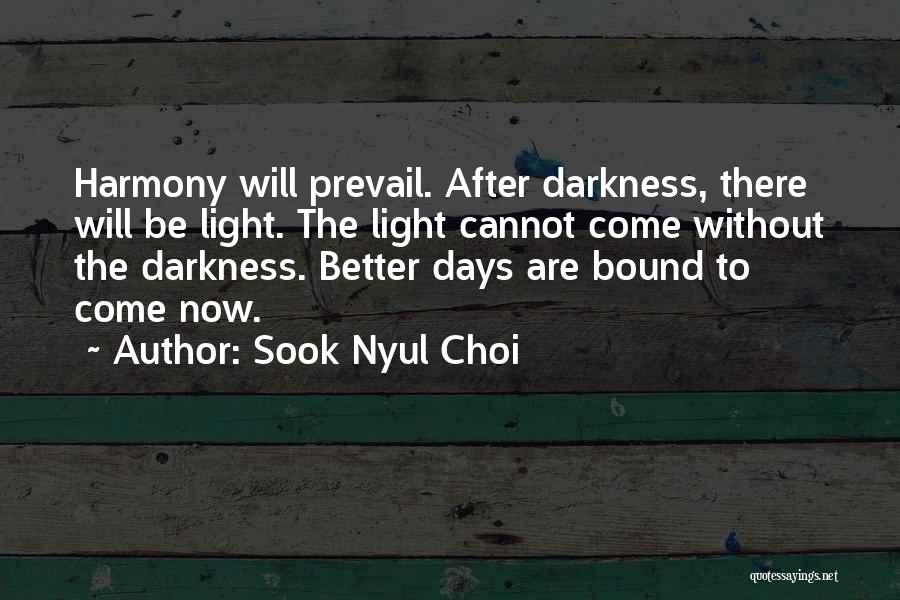 Darkness And Light Quotes By Sook Nyul Choi