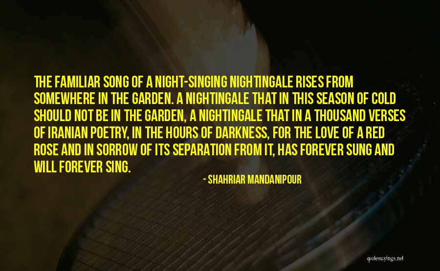 Darkness And Love Quotes By Shahriar Mandanipour