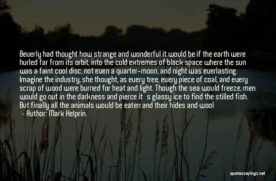 Darkness And Silence Quotes By Mark Helprin