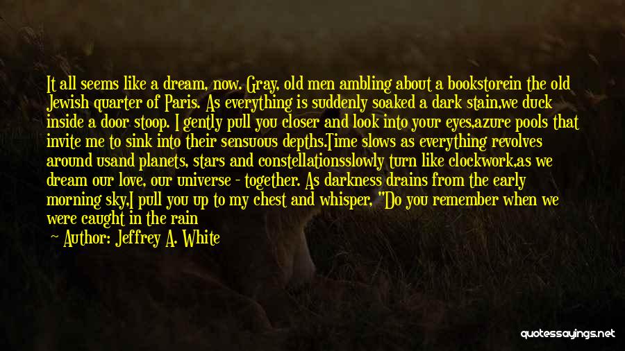 Darkness And Stars Quotes By Jeffrey A. White