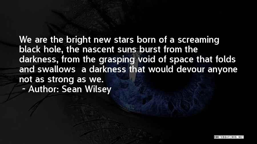 Darkness And Stars Quotes By Sean Wilsey