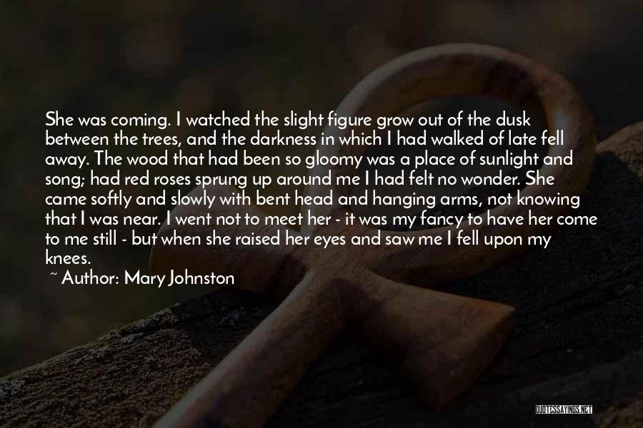 Darkness Around Me Quotes By Mary Johnston