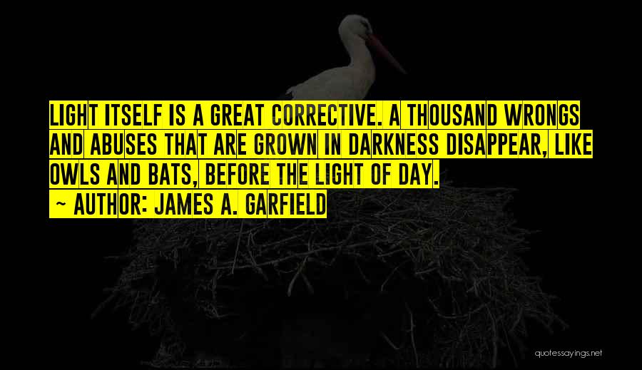 Darkness Before Light Quotes By James A. Garfield