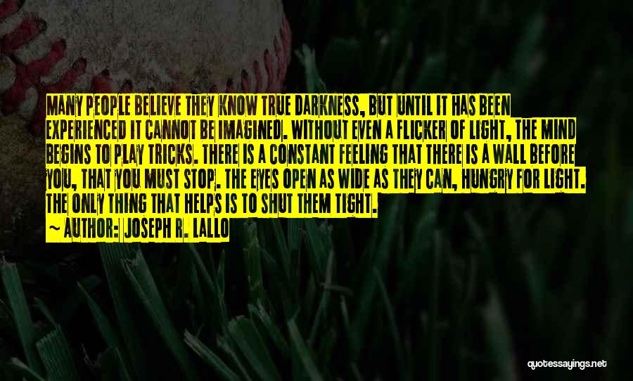 Darkness Before Light Quotes By Joseph R. Lallo