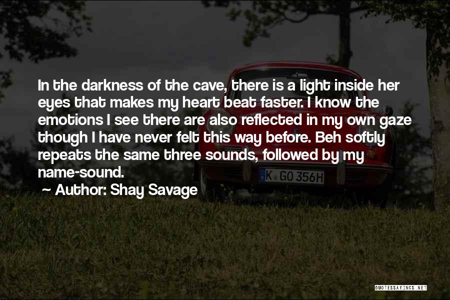 Darkness Before Light Quotes By Shay Savage