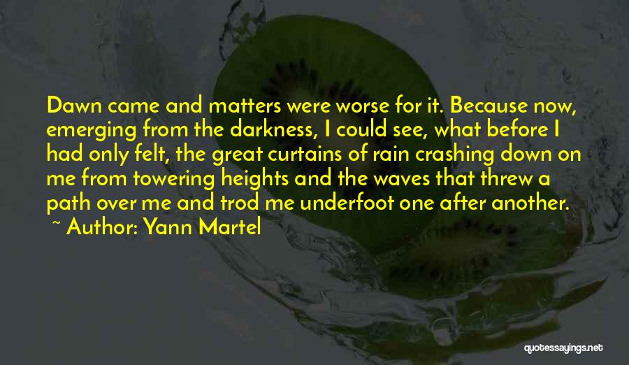 Darkness Before The Dawn Quotes By Yann Martel