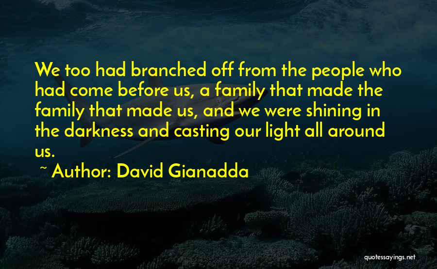 Darkness Before The Light Quotes By David Gianadda