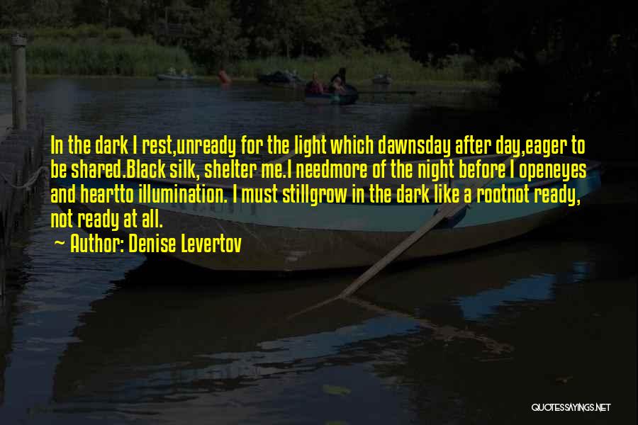 Darkness Before The Light Quotes By Denise Levertov