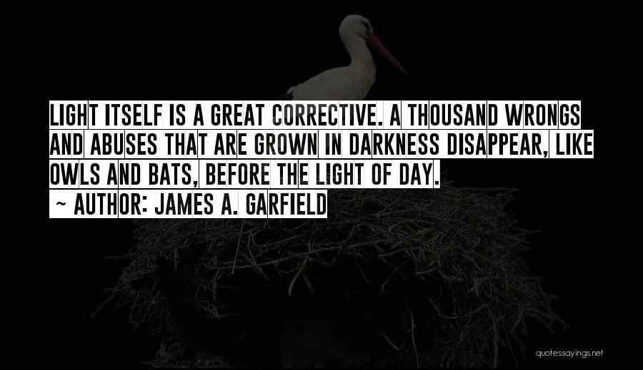 Darkness Before The Light Quotes By James A. Garfield