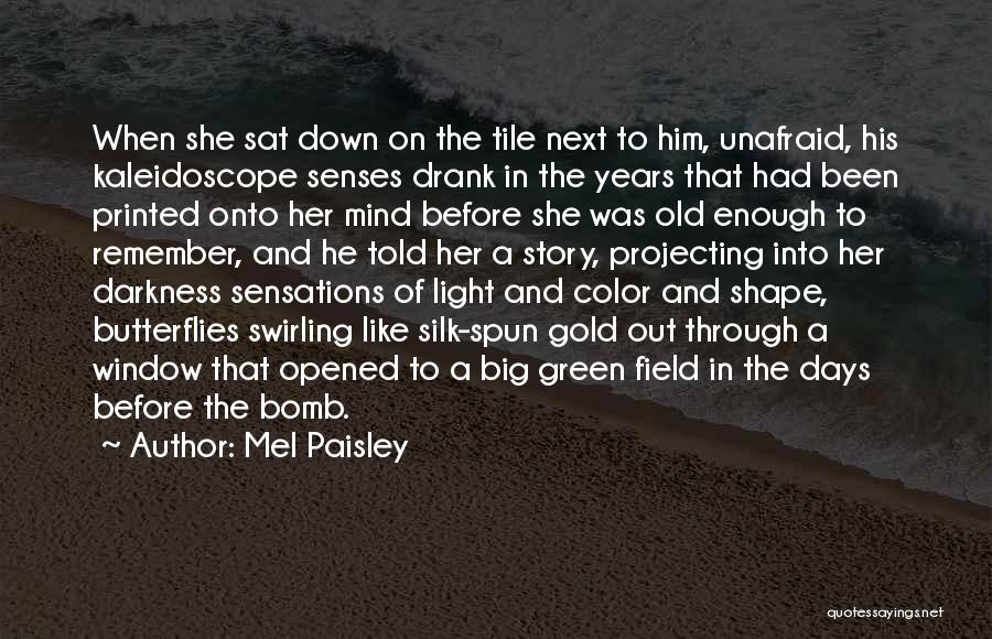 Darkness Before The Light Quotes By Mel Paisley