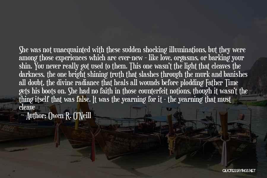 Darkness Before The Light Quotes By Owen R. O'Neill