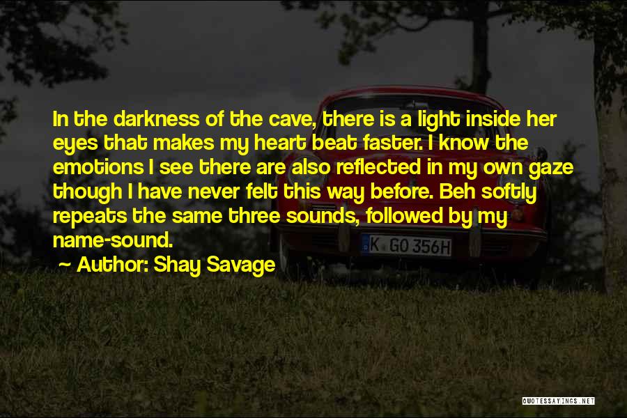 Darkness Before The Light Quotes By Shay Savage