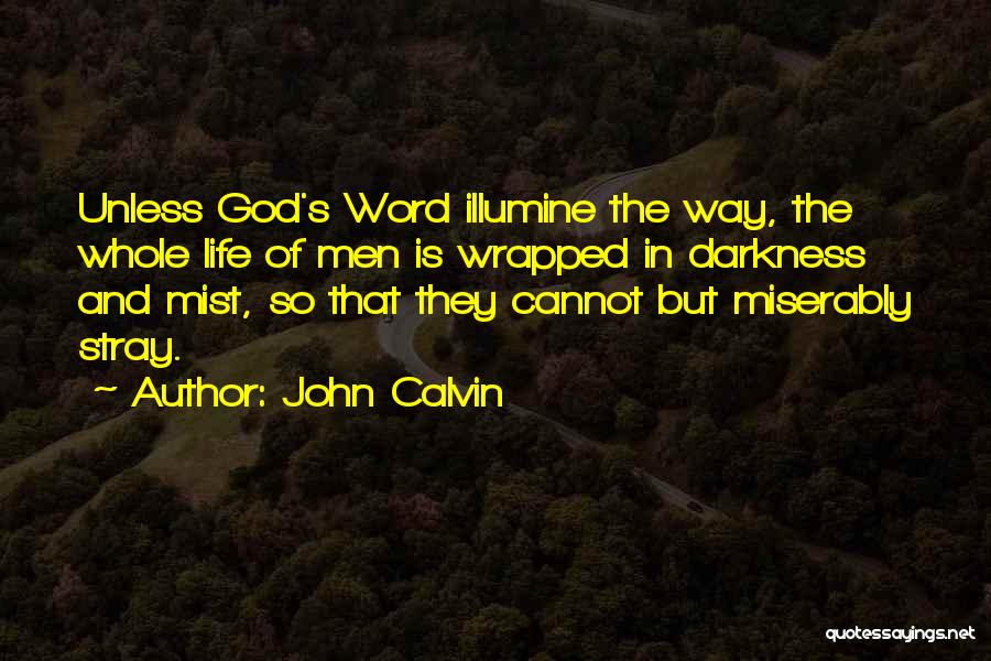 Darkness Cannot Quotes By John Calvin