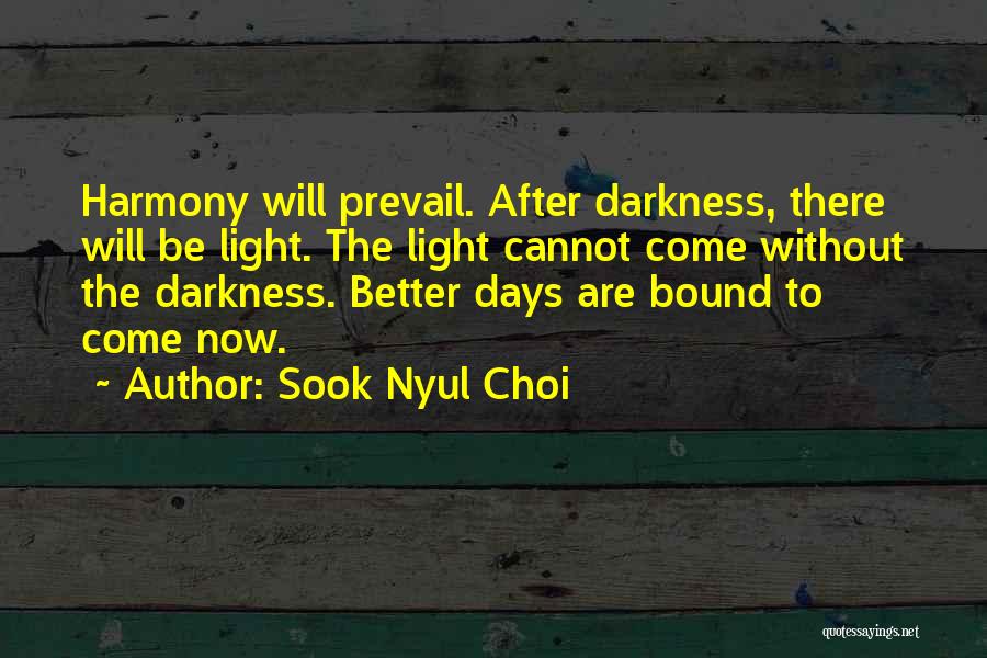 Darkness Cannot Quotes By Sook Nyul Choi