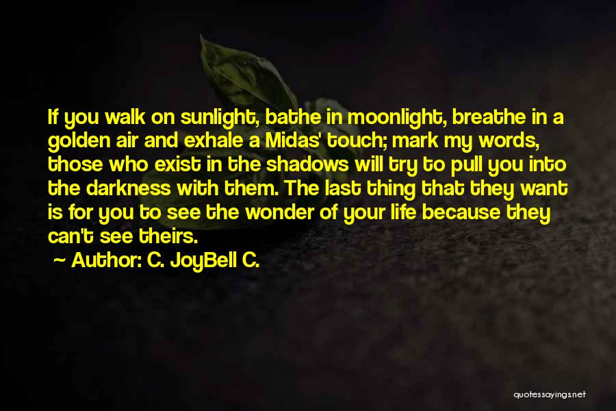 Darkness Exist Quotes By C. JoyBell C.