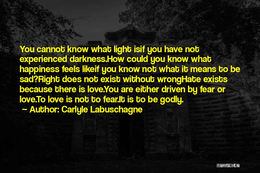 Darkness Exist Quotes By Carlyle Labuschagne