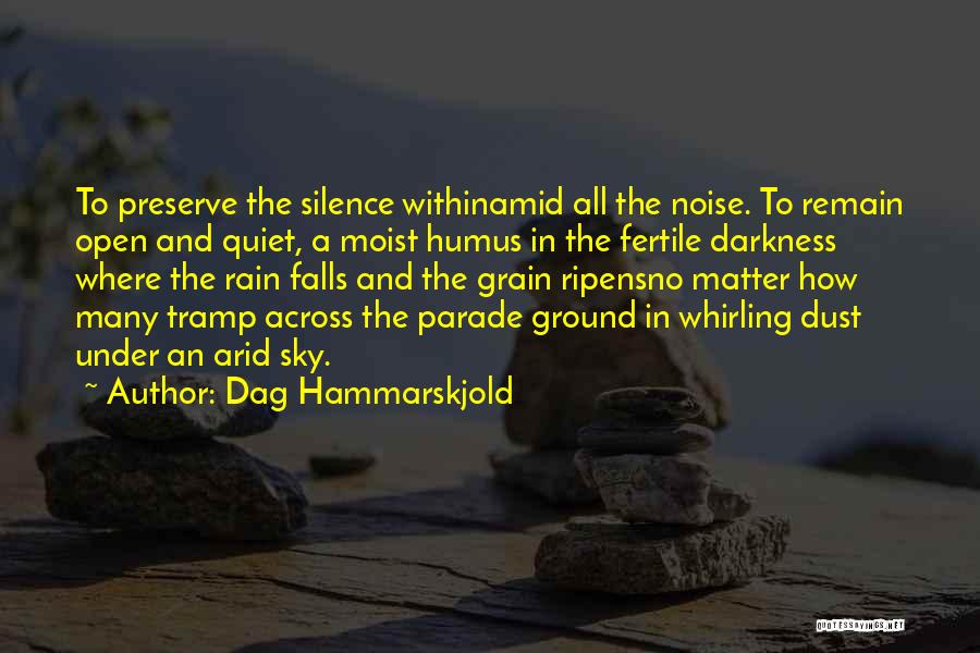 Darkness Falls Quotes By Dag Hammarskjold