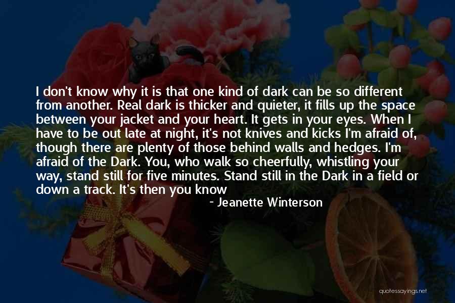 Darkness In The Heart Of Darkness Quotes By Jeanette Winterson Darkness In The Heart Of Darkness Quotes By Jeanette Winterson