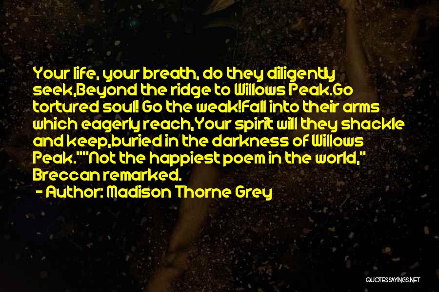 Darkness In The World Quotes By Madison Thorne Grey