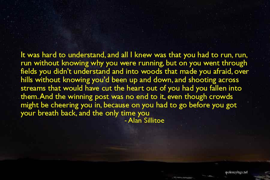 Darkness In Your Heart Quotes By Alan Sillitoe